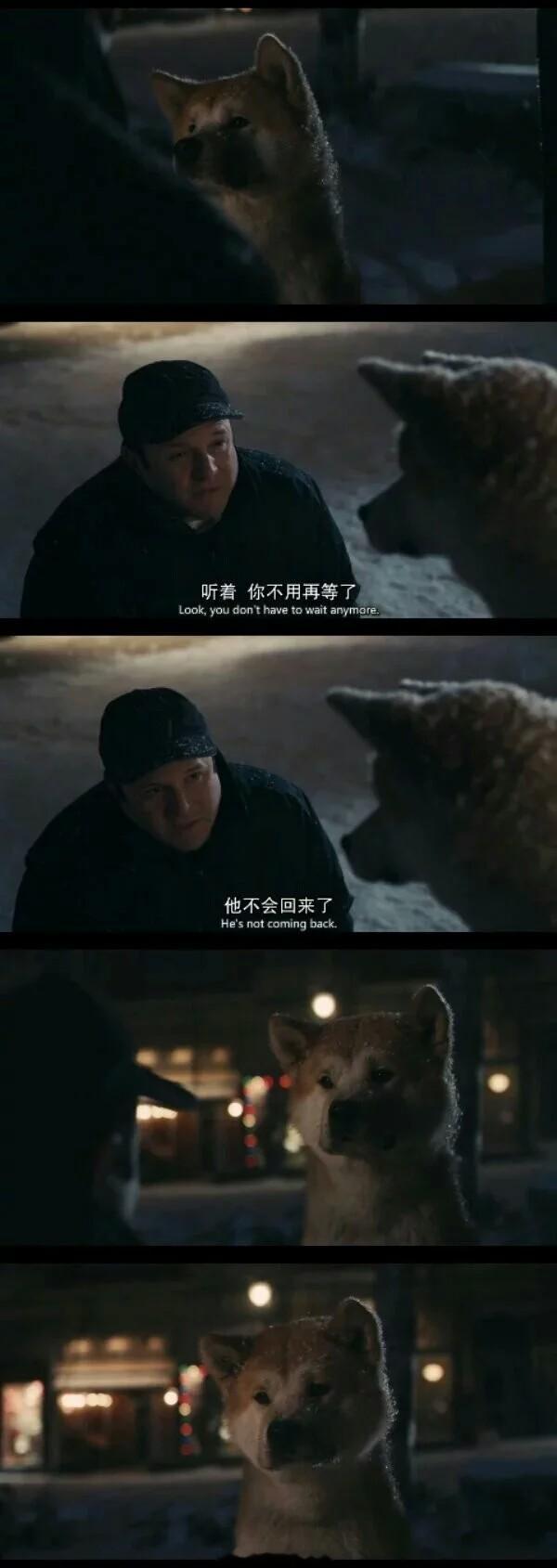 “它只是你的一条狗，但你却是它的一生。” ——《忠犬八公的故事》#早安#  #经