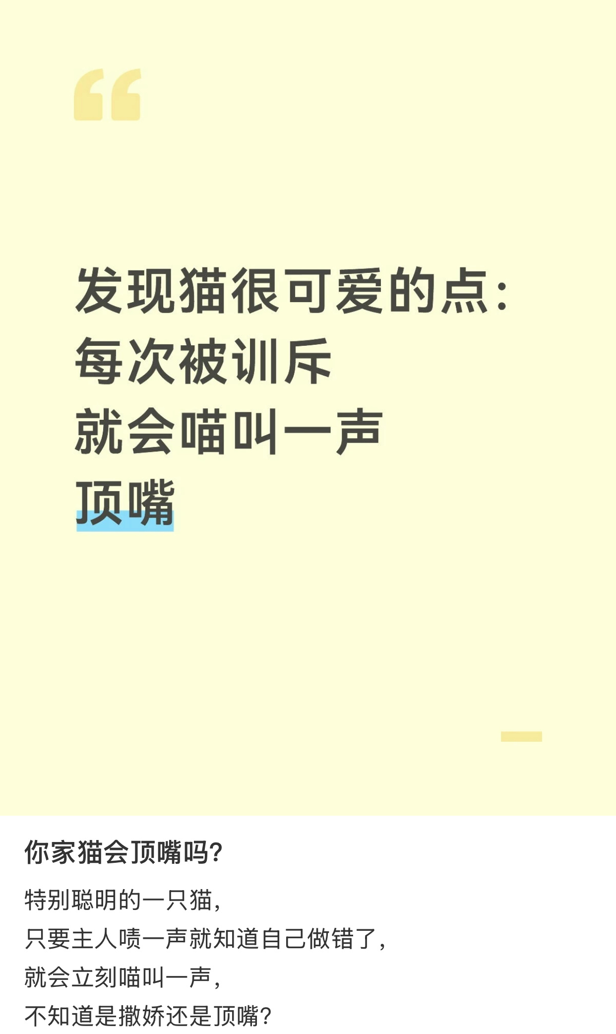 小猫被训会“喵”叫一声顶嘴