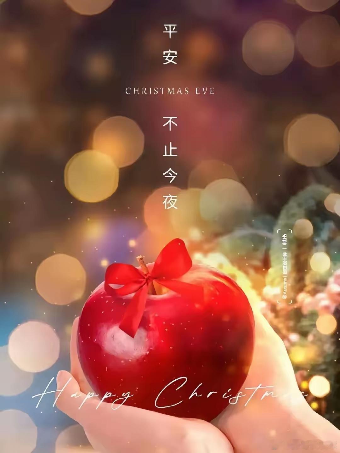 平安夜钟声悠扬，愿你的每个夜晚都如这节日般安宁、美好。