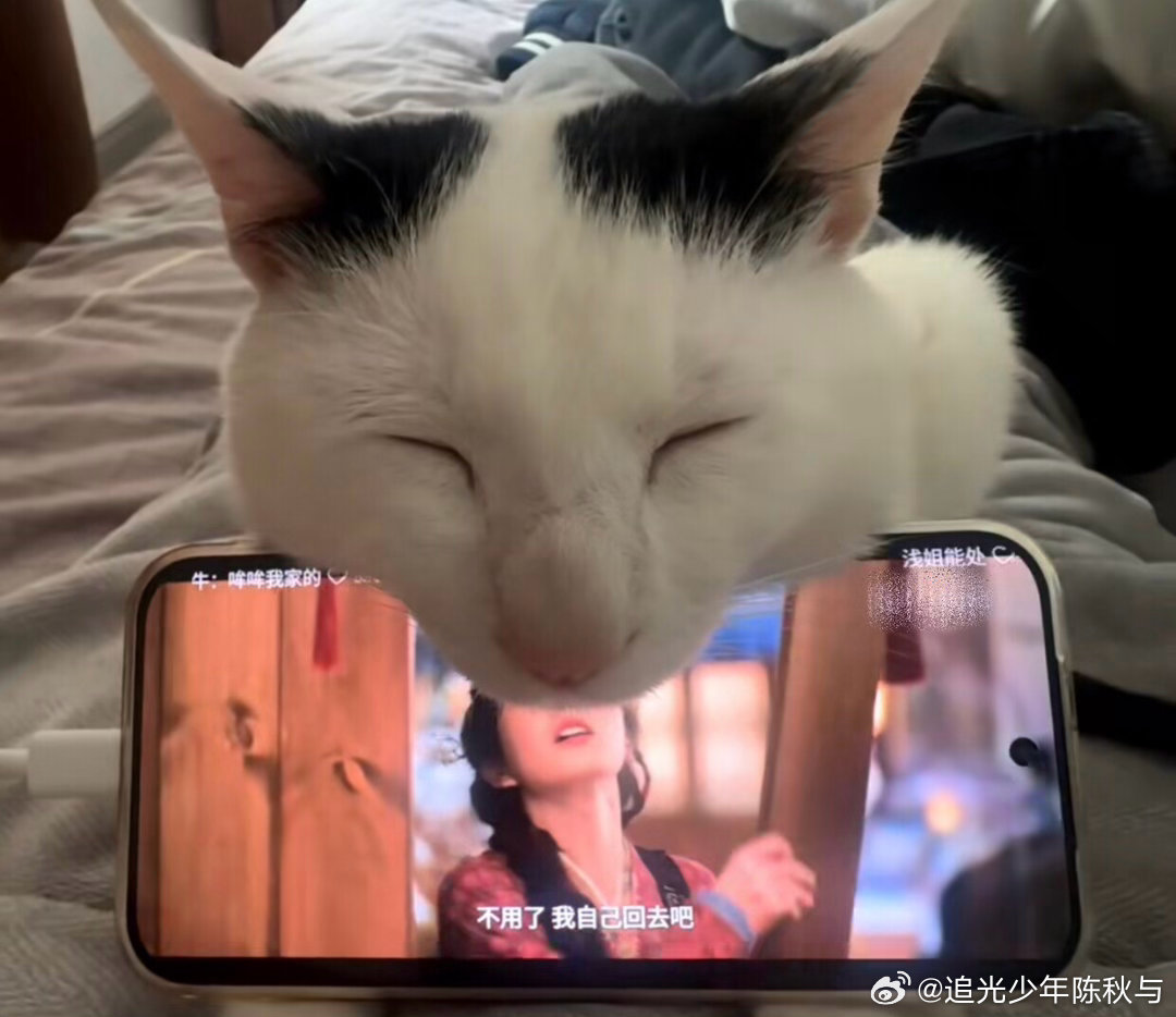 最有情绪价值的手机支架一种很新的物尽其用能忙着就不能让咪闲着校园v计划开学季你好