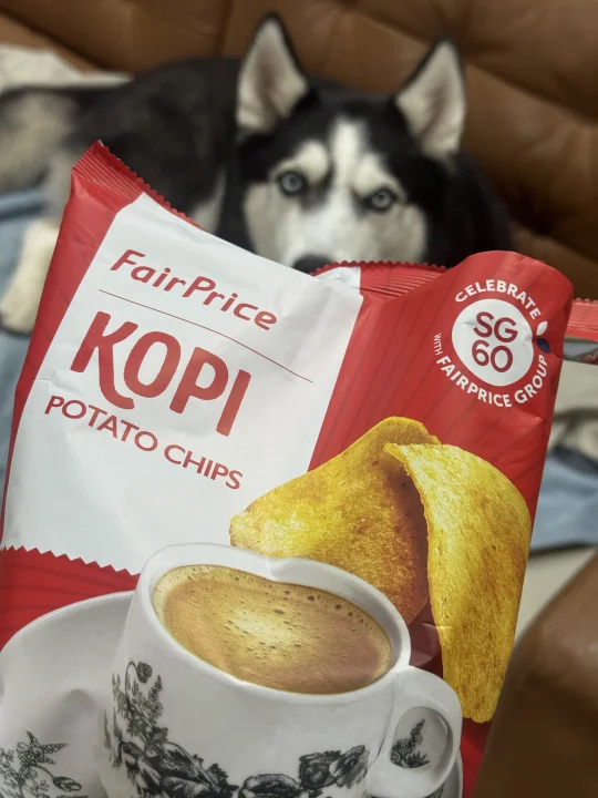 神了 kopi味儿的薯片