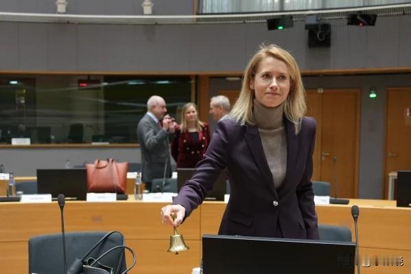 欧盟对俄罗斯的影子舰队实施更严苛的打击，制裁和影子舰队相关联的商人和公司

-欧