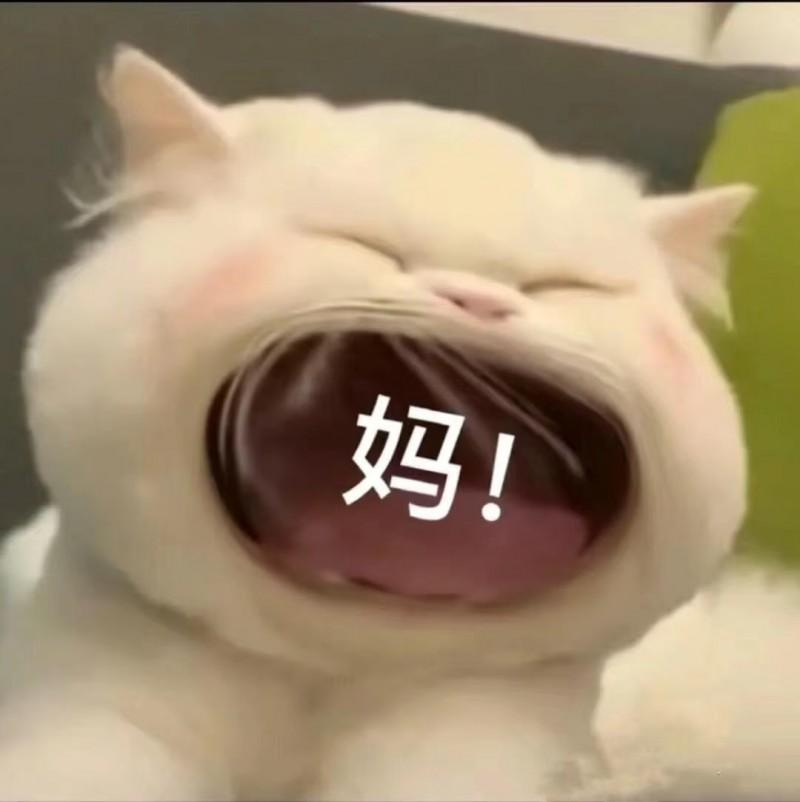 更年期“停战”指南！拯救老妈的睡眠
扛不住，真扛不住，自打我妈到了更年期，家里就