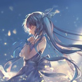 宝心侃体育