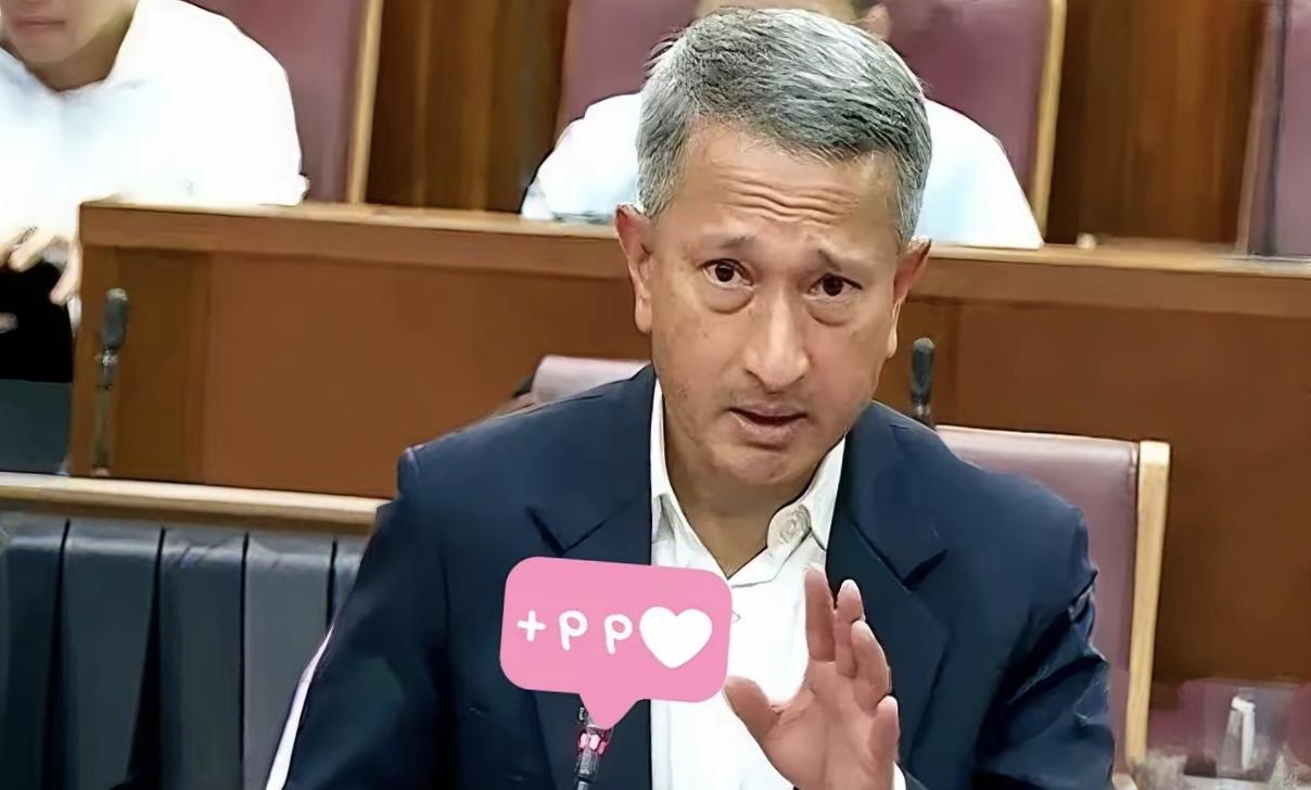 新加坡这回是真急了，东盟会上外长拍桌让中国尊重马六甲地位，说白了就是怕断了饭碗。