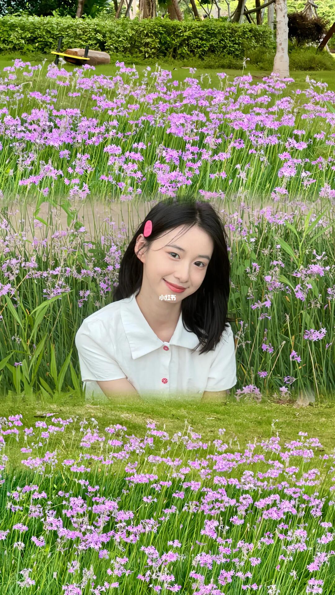 拼贴让稀疏的花也变成花海啦🪻