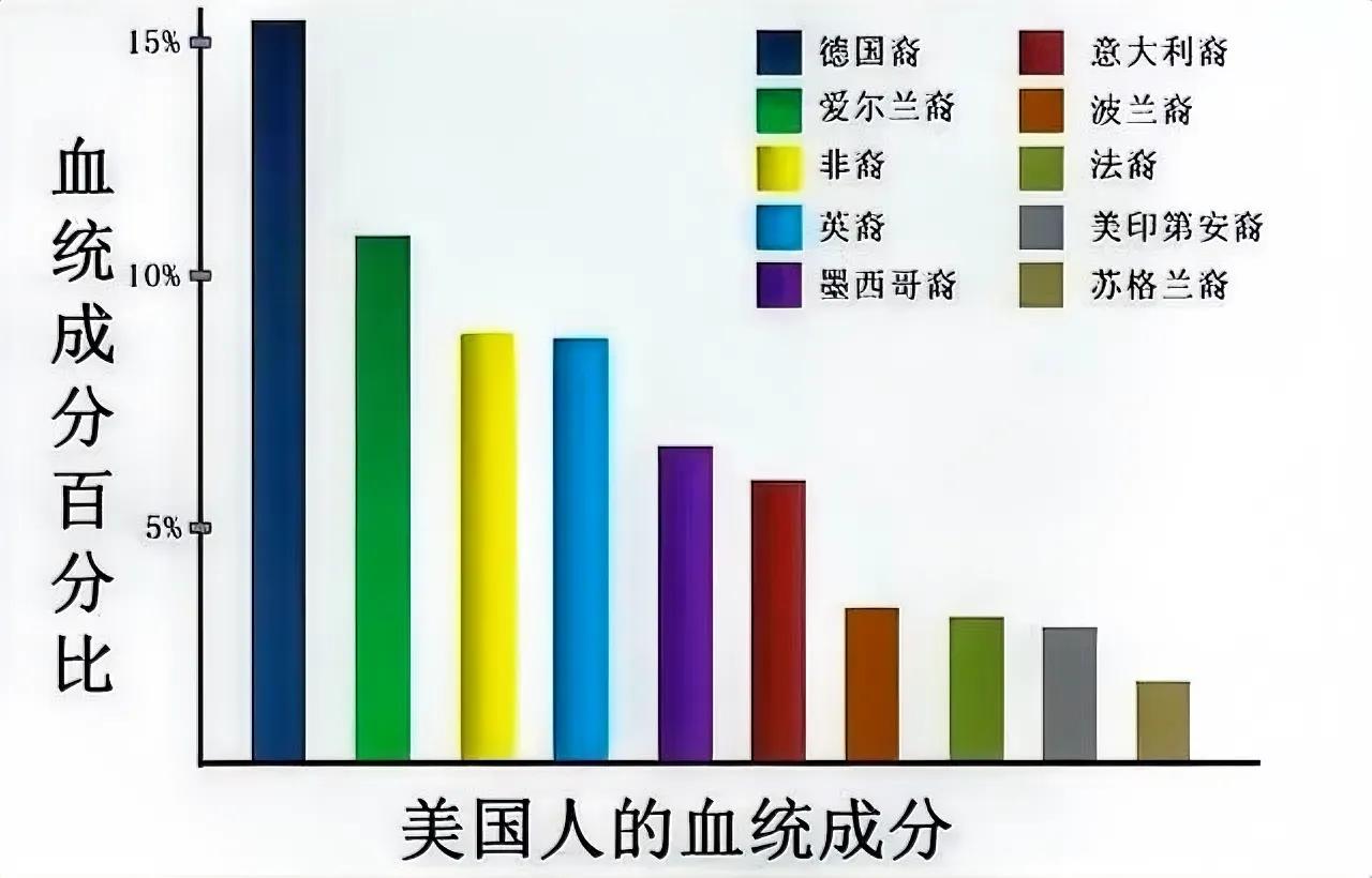 【美国人的血统成分】

从这个图表中可以看出，德裔美国人最多。而排在第二位的，居