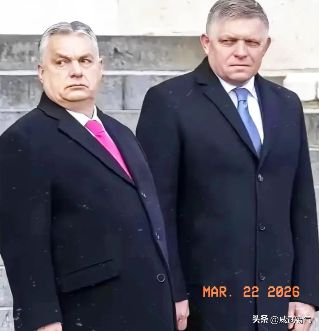 斯洛伐克总理罗伯特·菲佐在3月21日的电视节目中愤怒表示 ："这纯粹是意识形态原