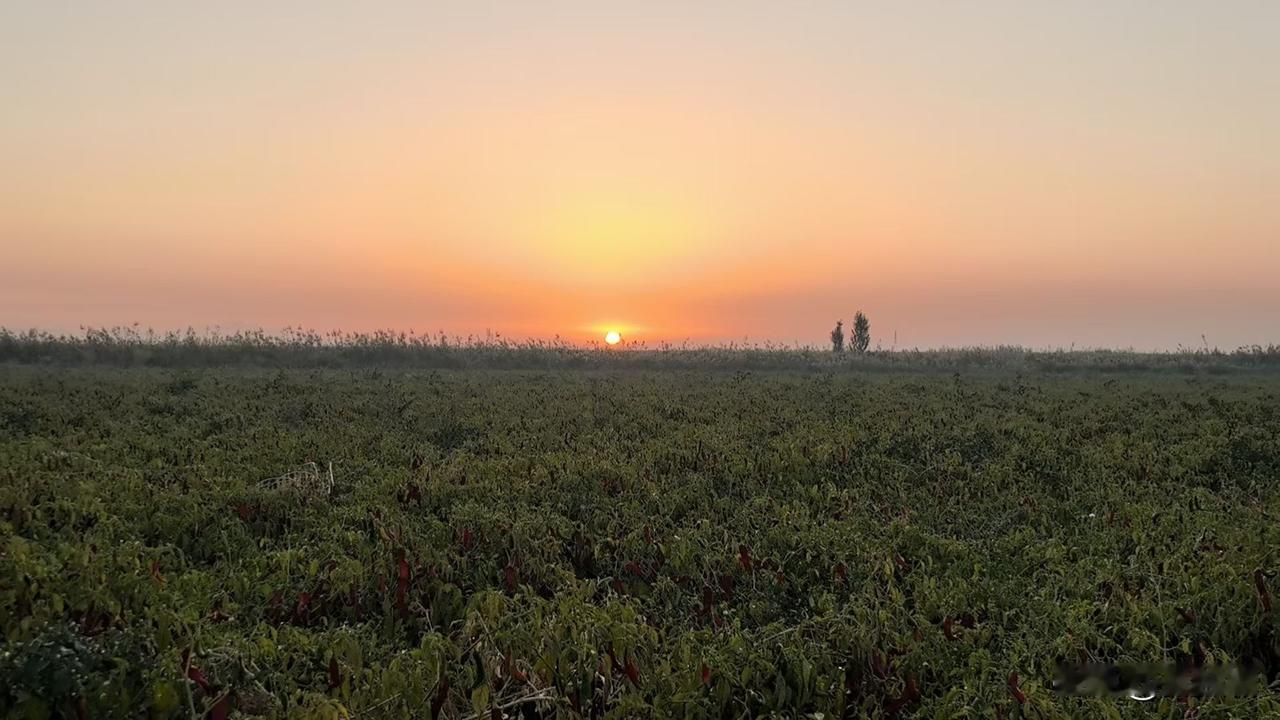 我这条贱命终究享不了福，这高温天气才刚开始，吹了没几天空调就感冒了，不知我是洗了