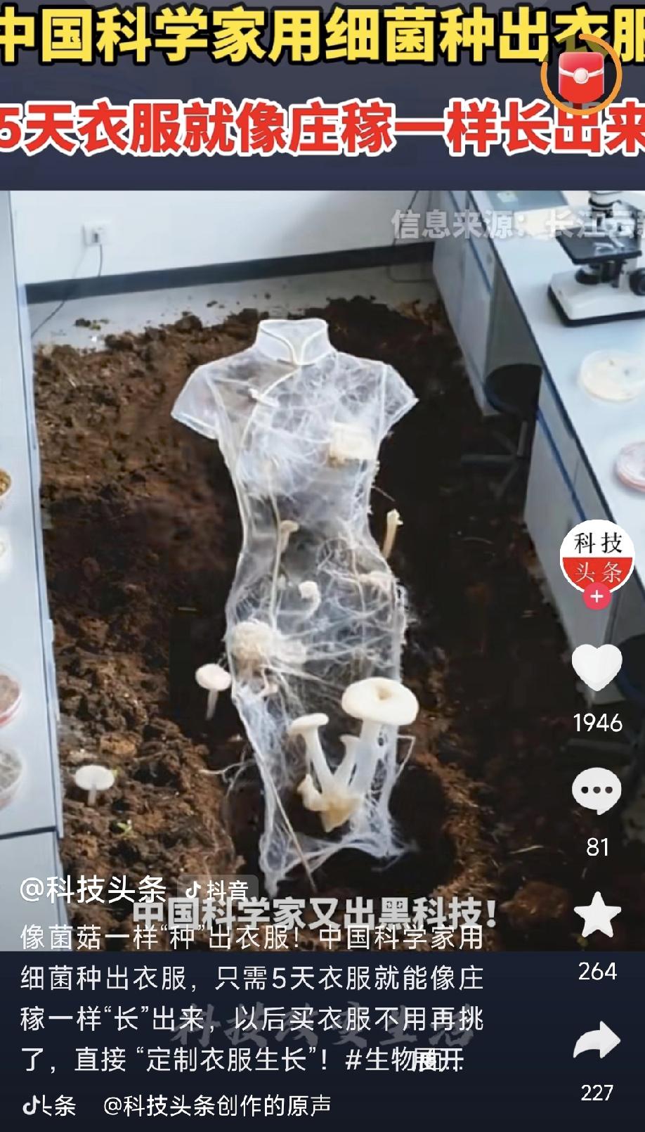 不可思议啊！衣服居然是种出来的！

刚刚看到一个视频，说的是我国科学家用细菌种出