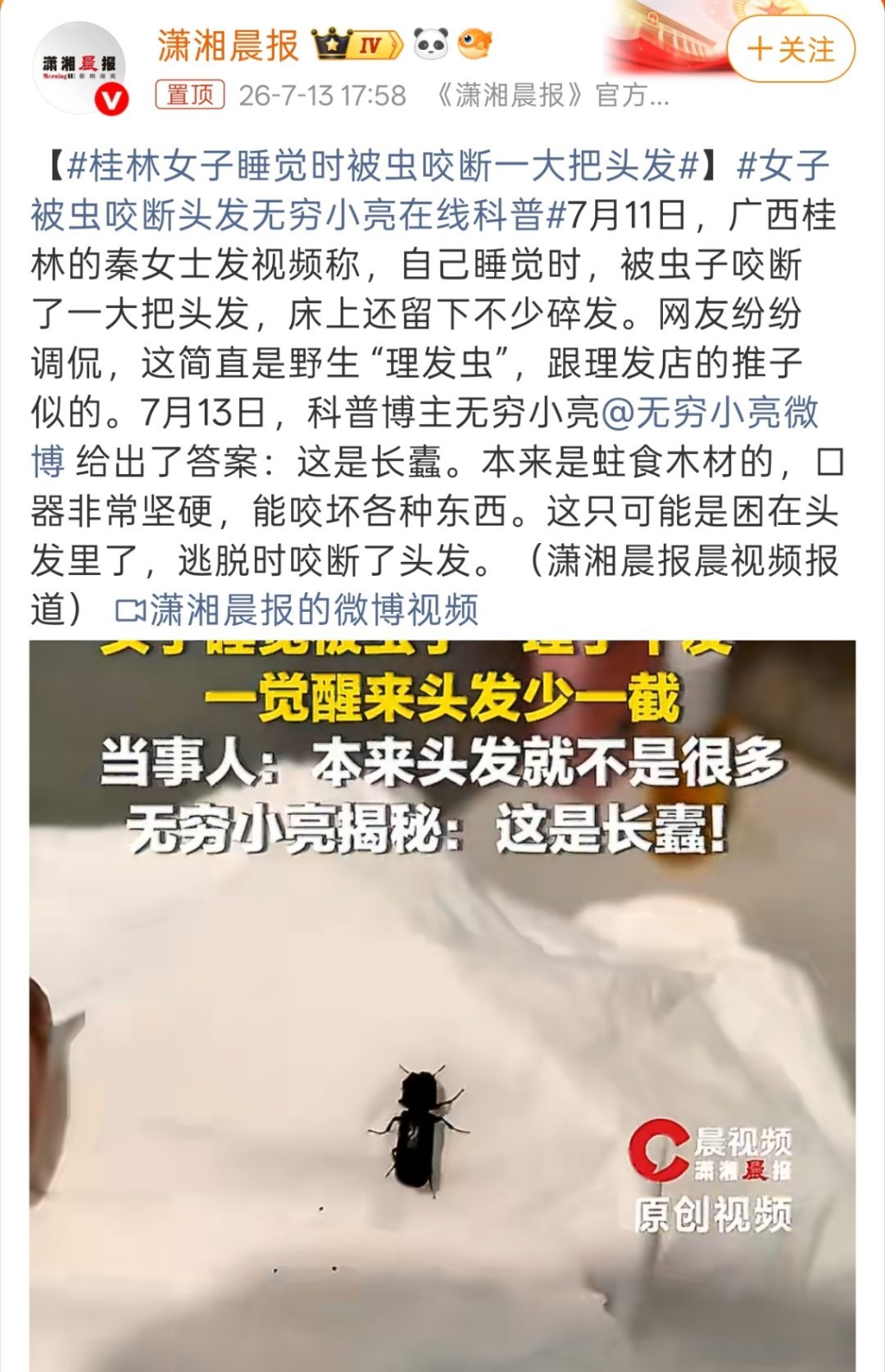 桂林女子睡觉时被虫咬断一大把头发幸好咬的是头发，之前看到过一个耳朵里进蟑螂的，直