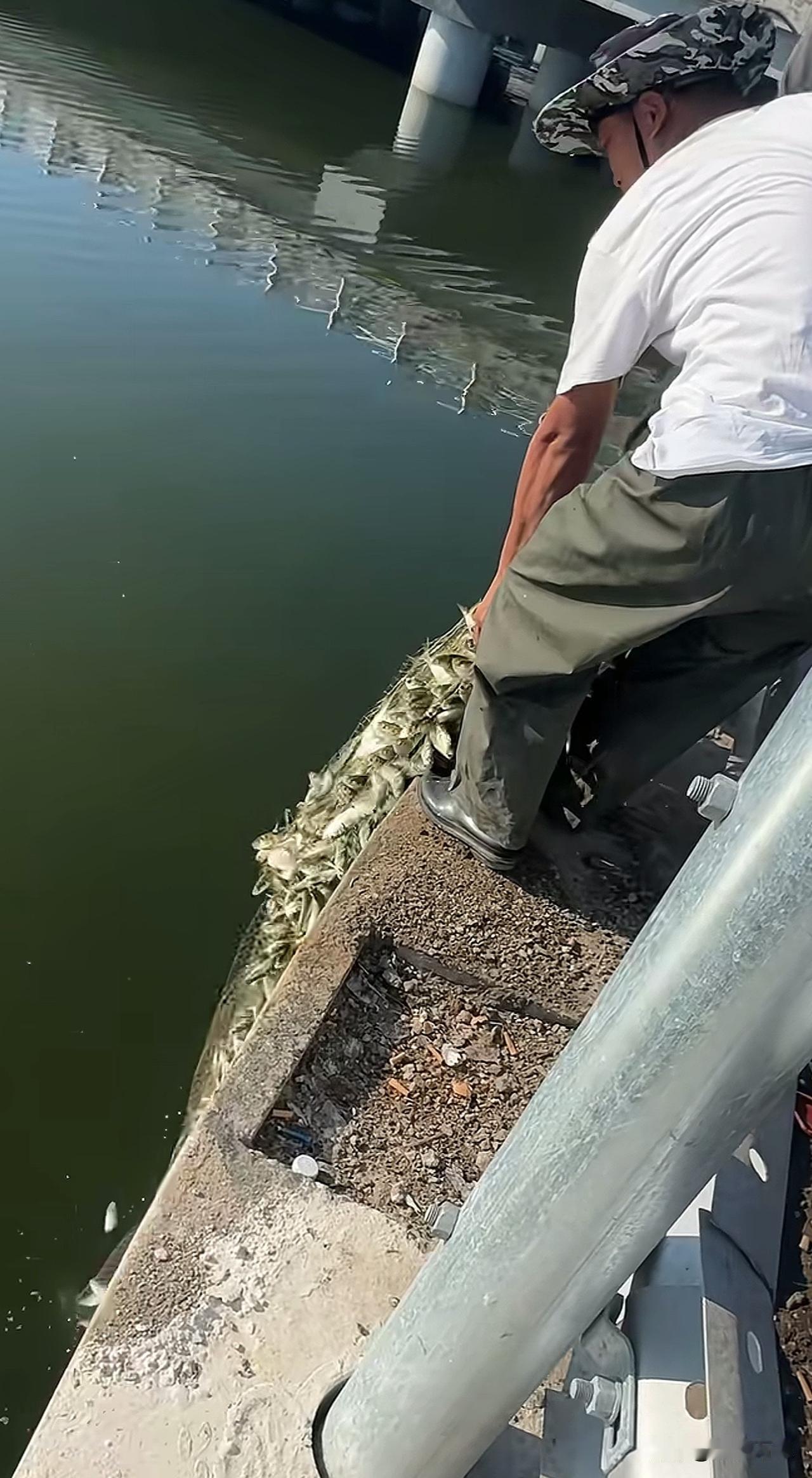 大哥你太狠了[恐惧]渔网捕鱼