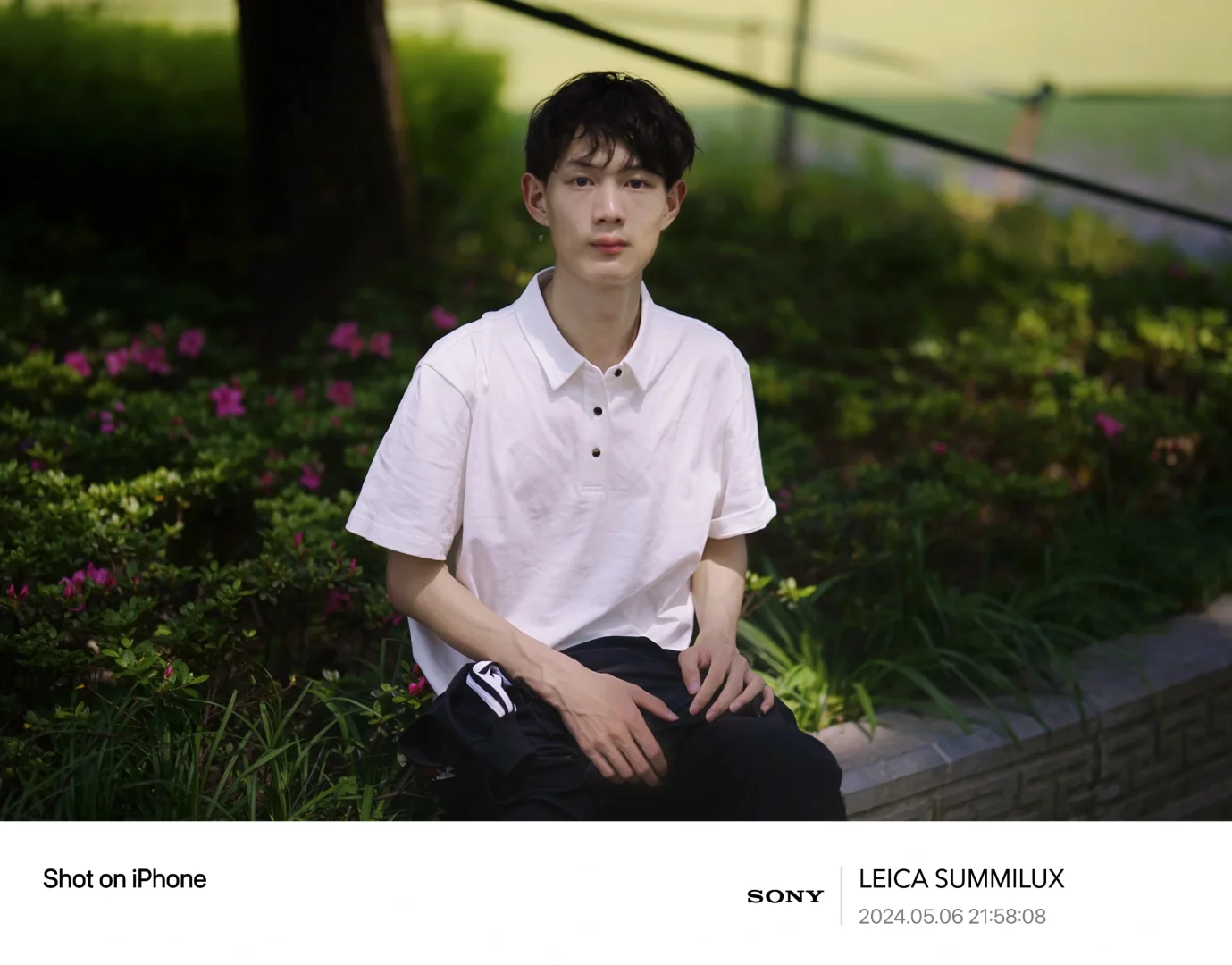 纪念一下人生第一次使用大光圈拍照，镜头是适马85mm/1.4f相机是索尼α7r，...