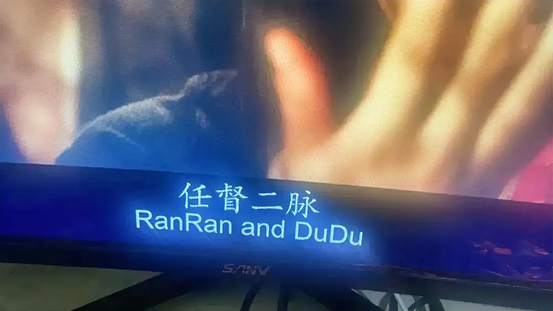 要是这样的话，我也能干翻译