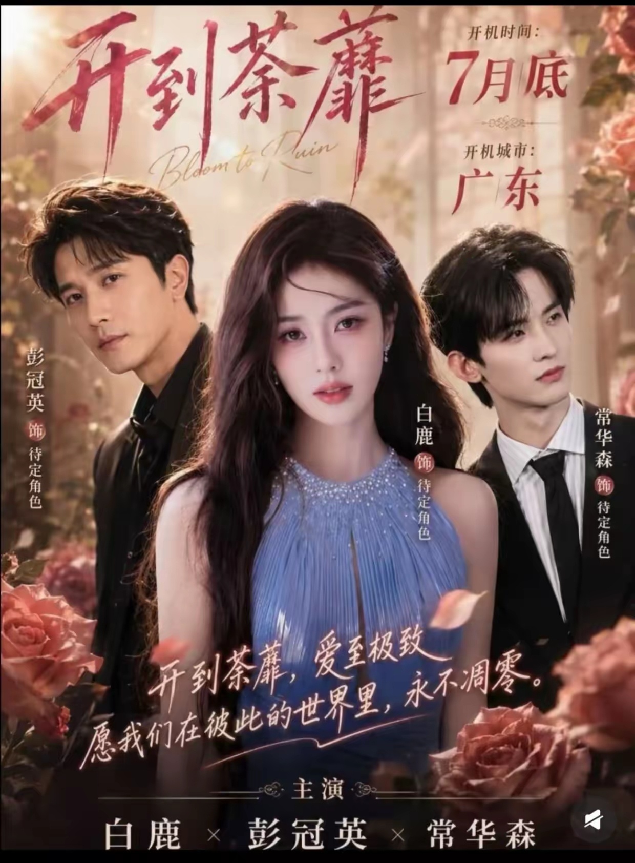 粉丝们别担心白鹿会资源降级了，刚解约她就憋了个大的，看她新剧的级别和阵容就知道了
