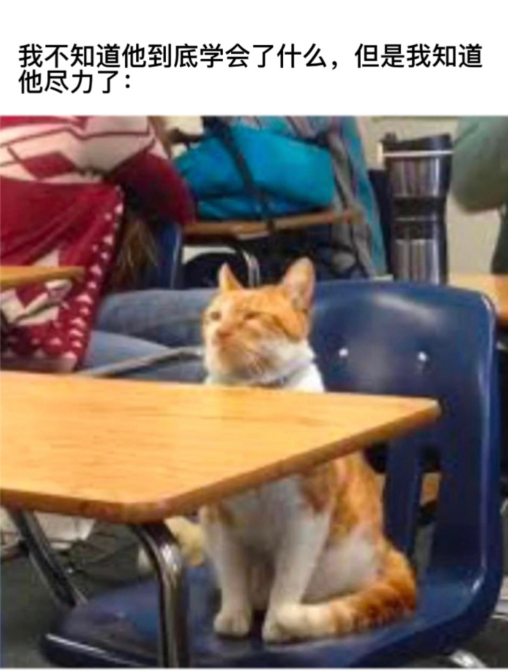睿智的眼神#今日memes# //#龙年造梗大赛# ​​​