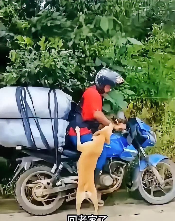 工地相伴三年，离别这一刻戳痛无数打工人
 
男子工期结束，已经收拾好铺盖准备回老
