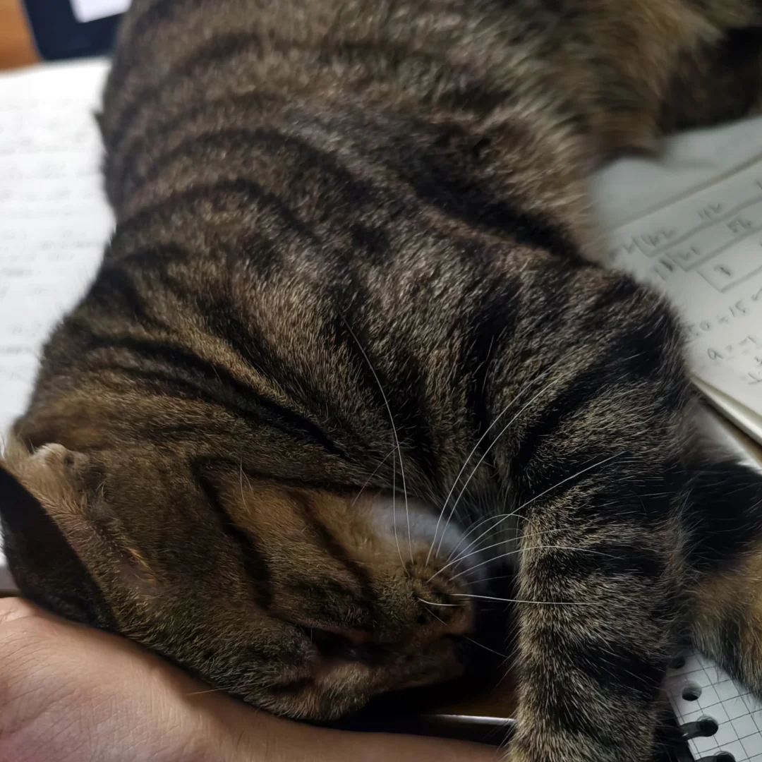 最近在签文件，九部门联合发文，我同事锐评：比八国联军还多一门。 	 今...