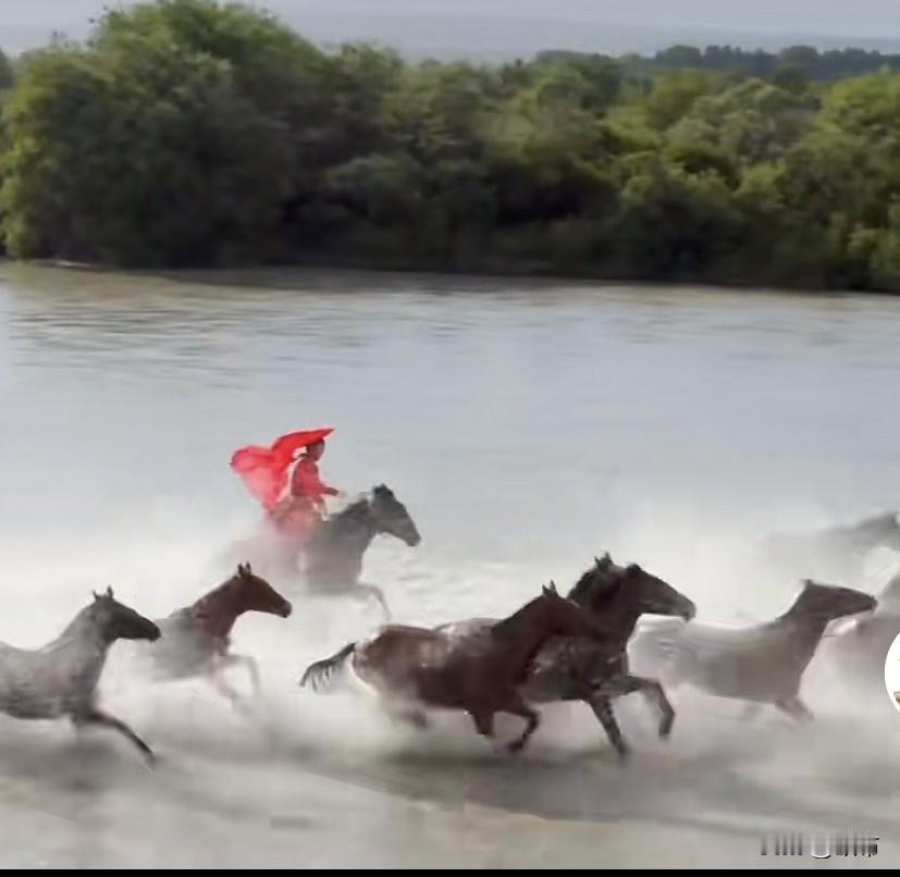 贺娇龙贺主任因坠马伤重离世，真让人心疼啊，才四十七岁。
那个在大美新疆一身红衣，