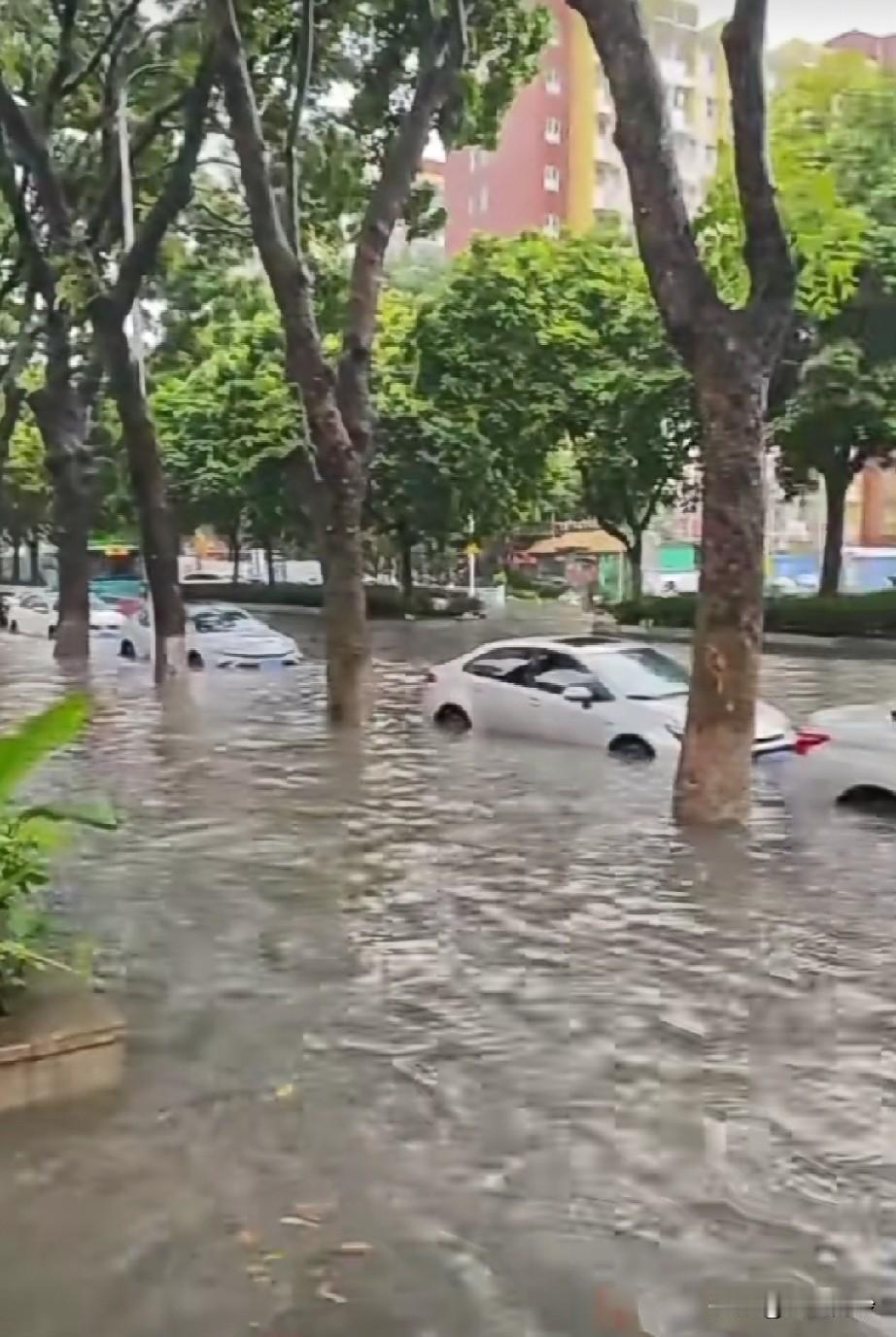 金洲果然是洲！每逢下雨必淹水！这今年搞了又搞，不知道这次夏天能不能挺得住了！