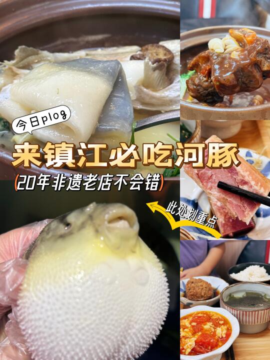 吃河豚‼️这家20年非遗老店别错过 冲‼️