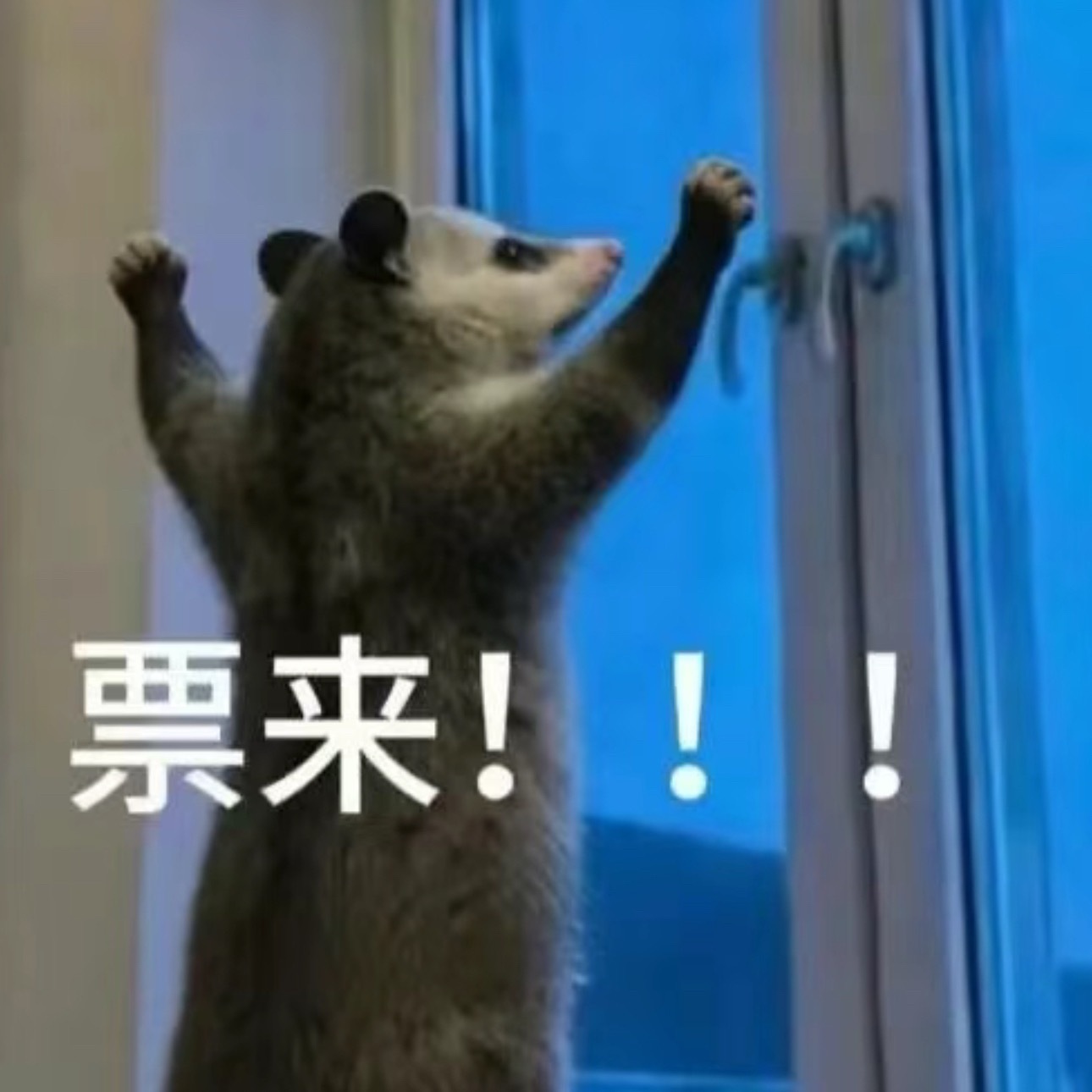 我有预感 ​​​