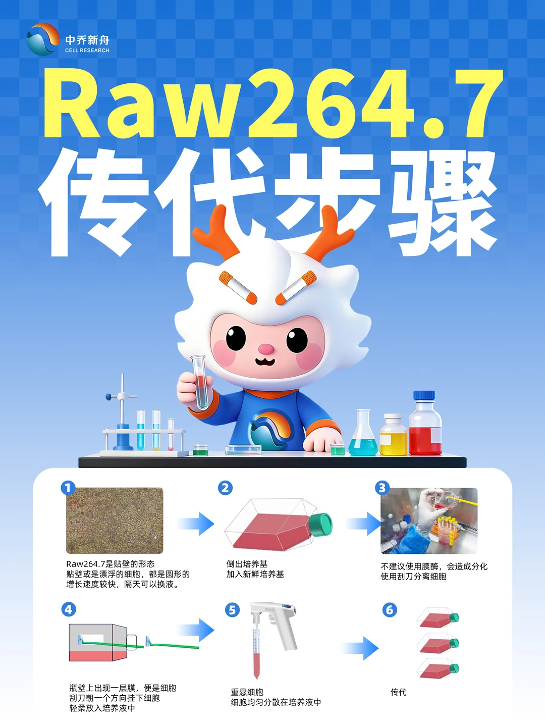 一张图学会Raw264.7传代步骤