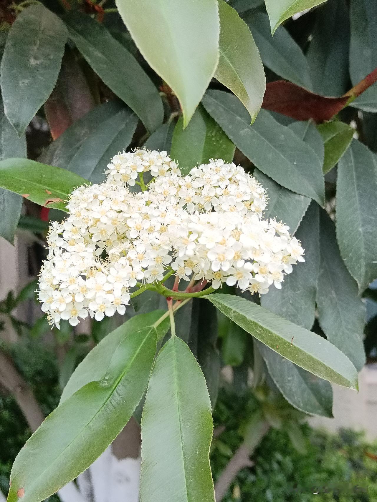 这人就得经常锻炼，否则多棒的身体也得荒废。
好长时间没干活了，稍微干点力气活，就