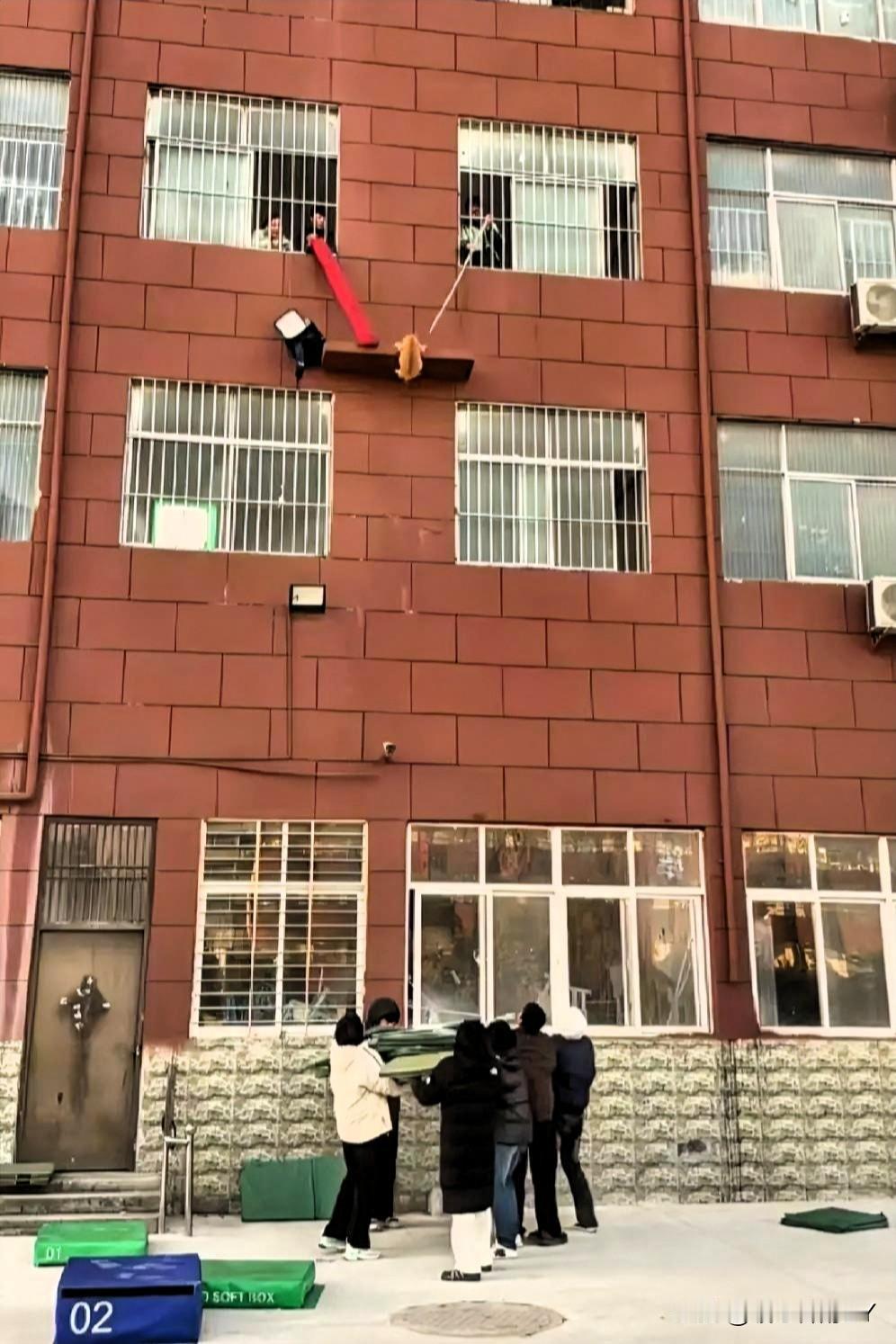 在某校园的红棕色教学楼前，一场暖意融融的“救猫行动”正悄然上演。

几名师生抬头