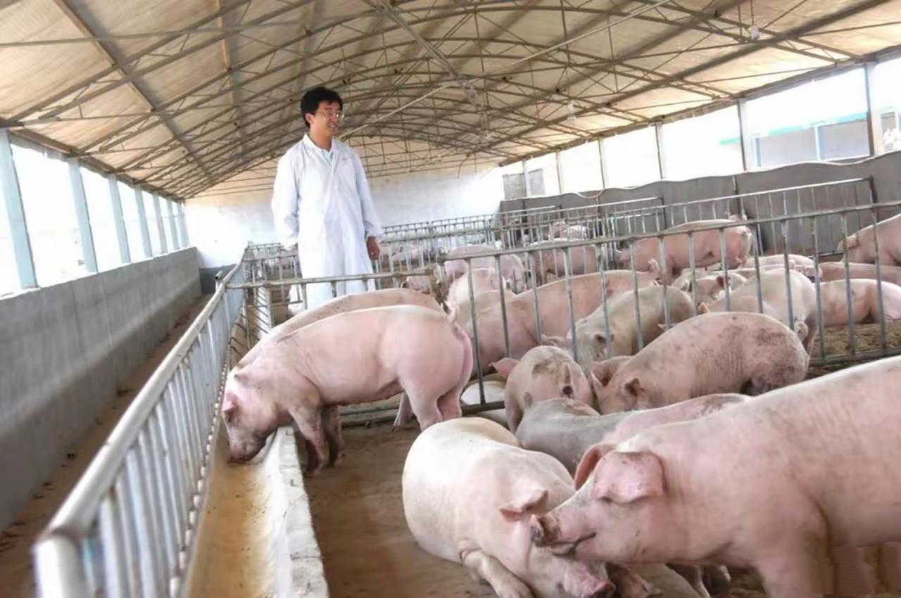 【新蔡企业家夫妇获41万国赔后追加赔偿被驳回！周兆成：法理有边界，制度需完善】