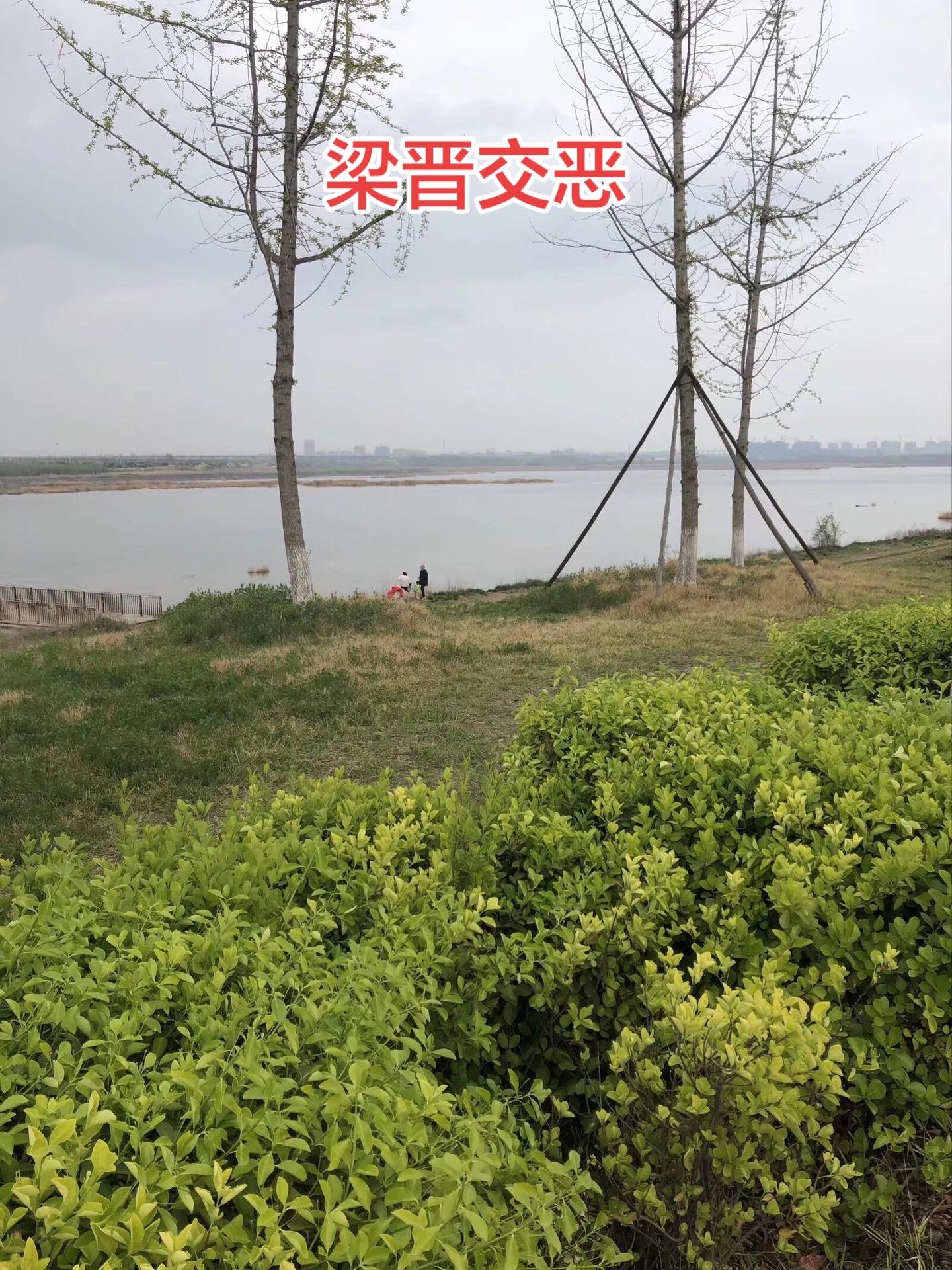 上源驿事变，河东镇与大梁成为死敌 大唐中和四年五月，黄巢攻陷了朱温的部...