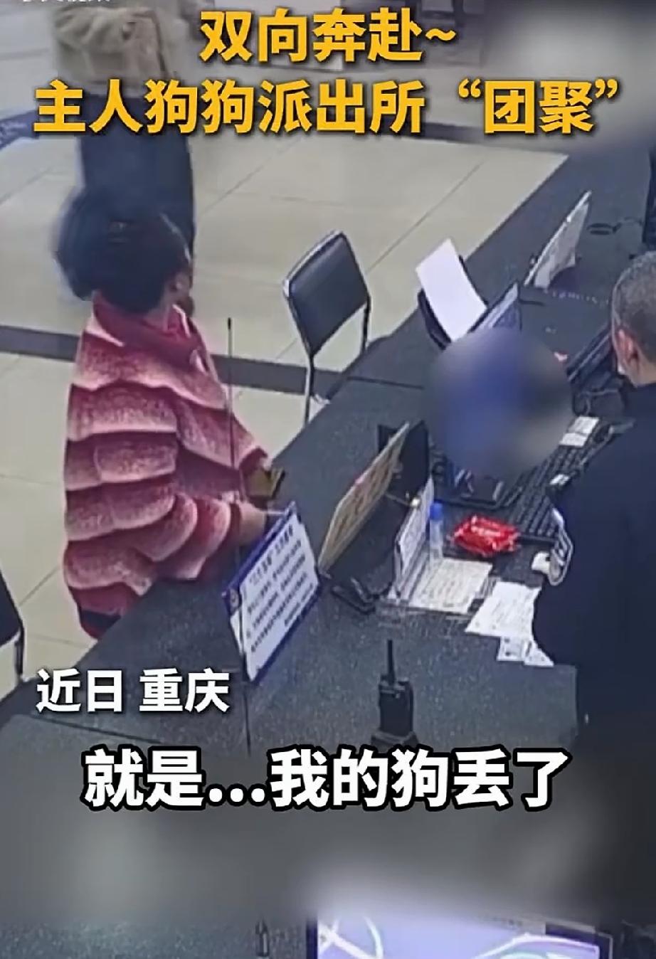近日，重庆。家住九坡区的女子，焦虑的到石坪桥派出所值班室，称自己的宠物狗走丢了。