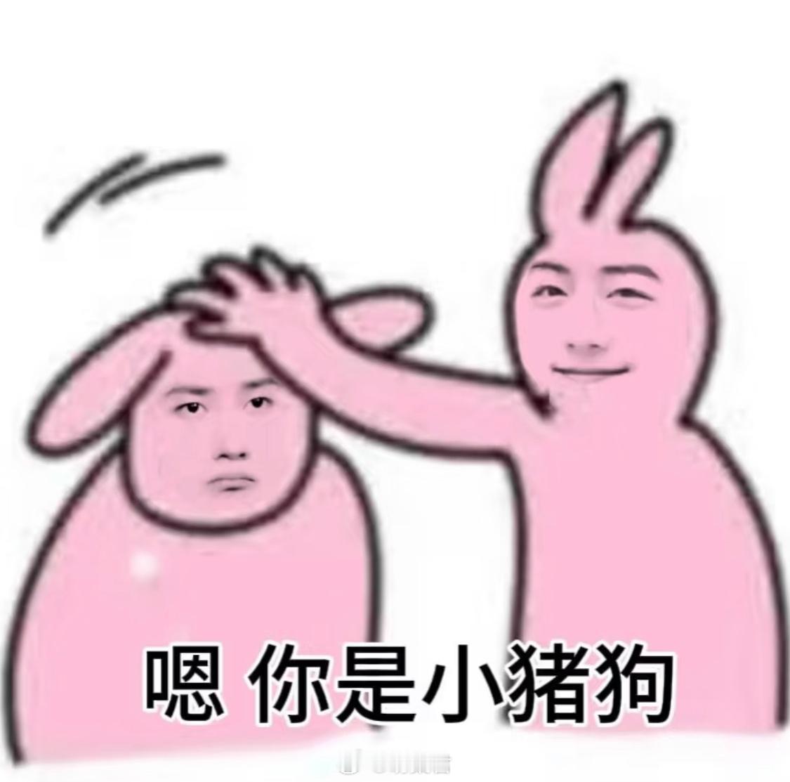 博君一肖[超话]   🦁🐰 博君一肖  嗯 你是小猪狗！！！又是猪猪又是狗崽