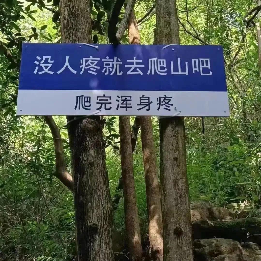 《浣溪沙》
清·纳兰性德

谁念西风独自凉，
萧萧黄叶闭疏窗，
沉思往事立残阳。