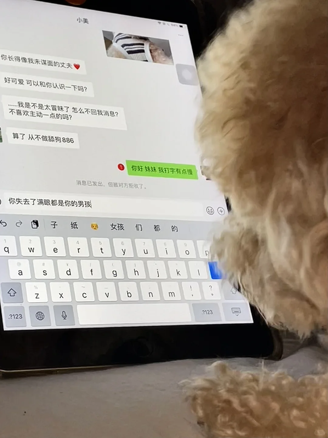 小狗好像失恋了…