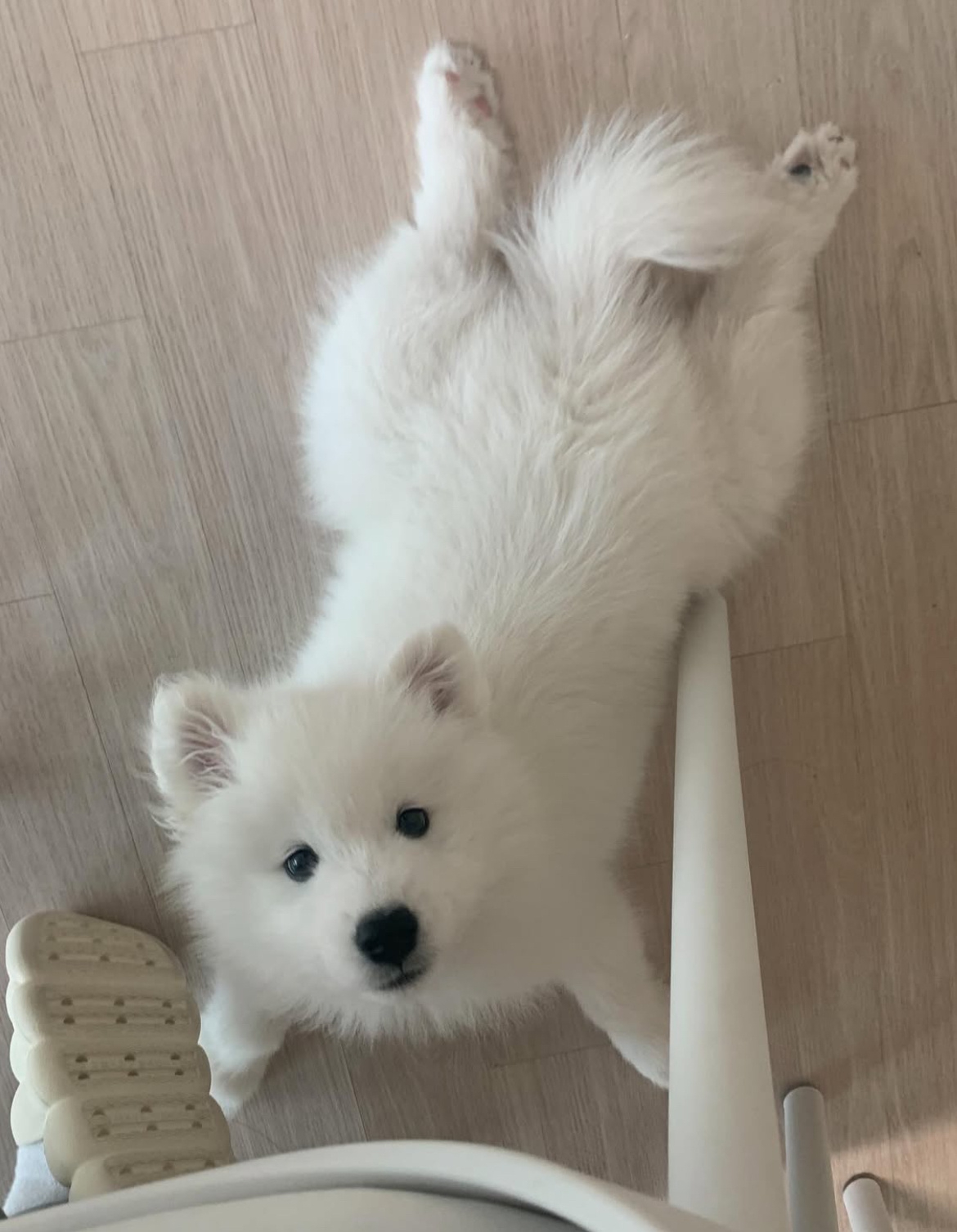 你回家啦！ 