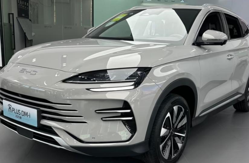 2026最想实现的一件事支持国货，10万左右买个比亚迪电车。