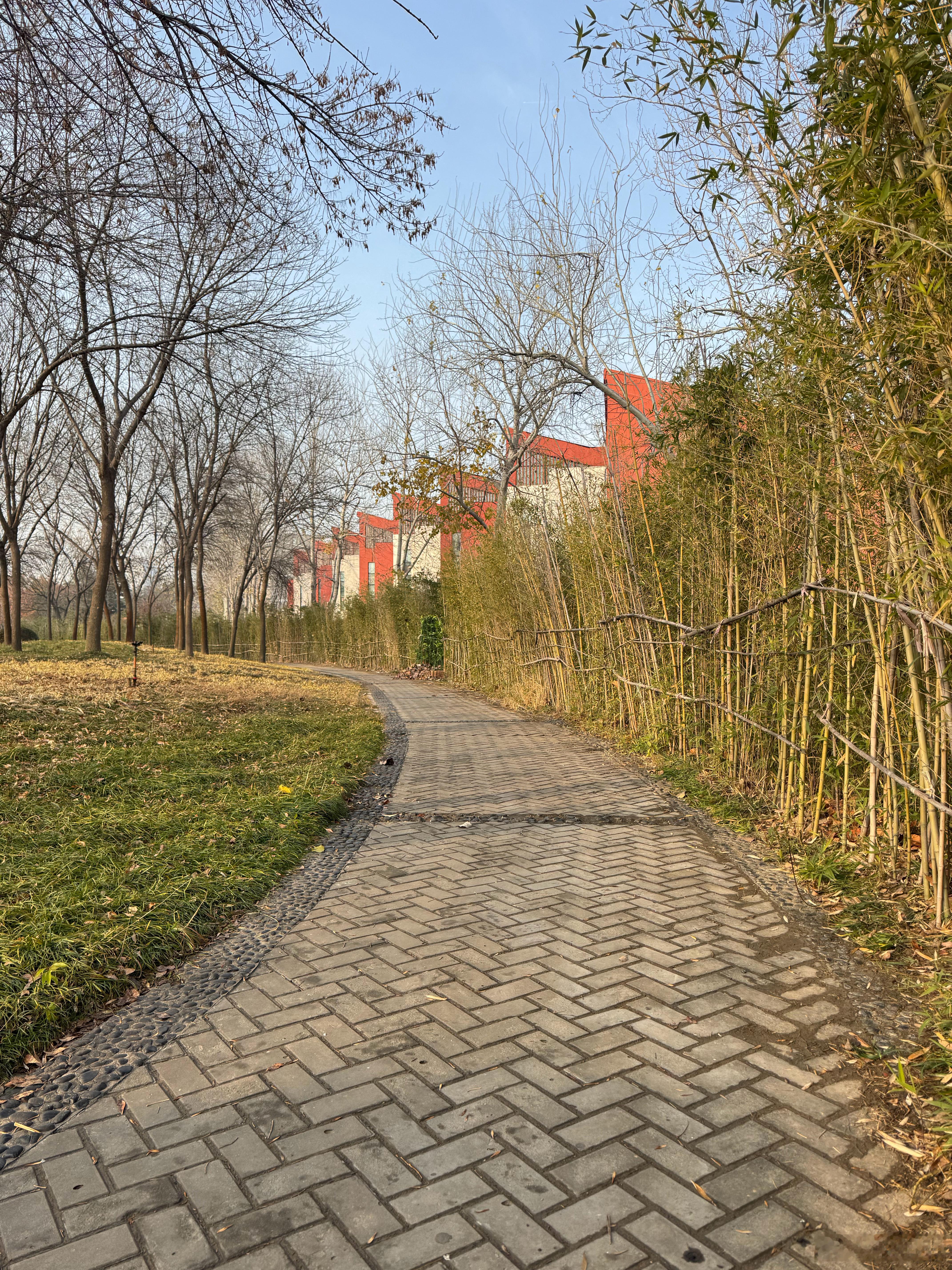 跑步 即使体感温度仍在零下，冰冷的空气中，我依旧坚持完成了5000米的跑步挑战，