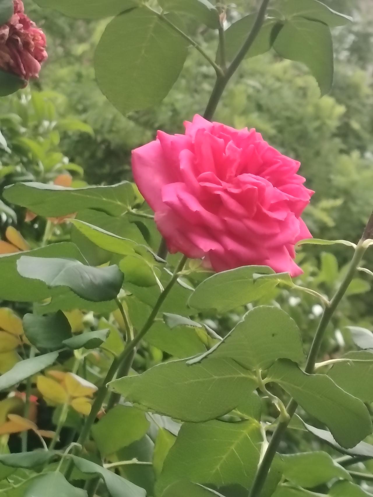 人到中年终于醒悟：人生所有修行，终究是修自己
 
有人说：人生最大的道场，从不是