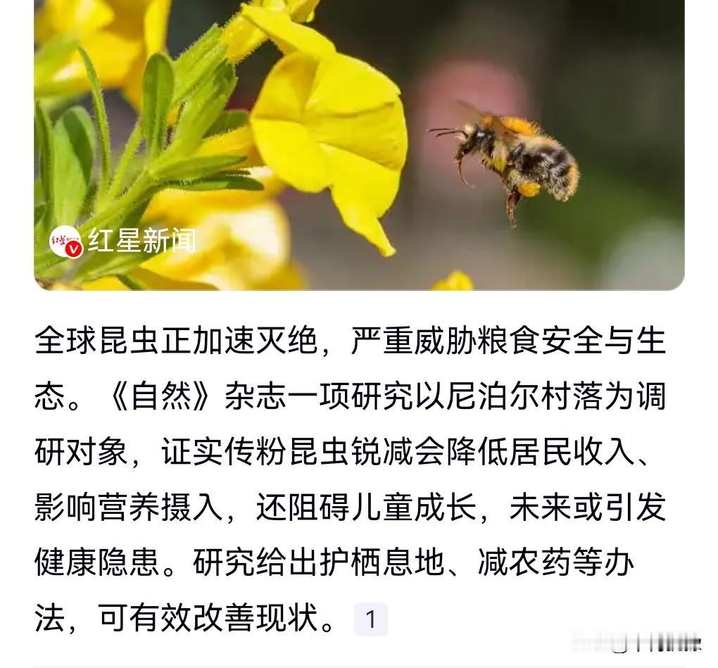 不好啦，不好啦，5月13日看到一个惊人的热搜。

全球昆虫正在以惊人速度灭绝，这