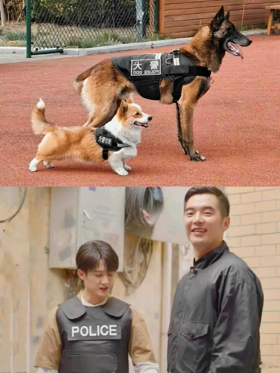 哈哈哈哈刷到城心城翊的这张图，好可爱啊！一旦接受这个设定[doge] 