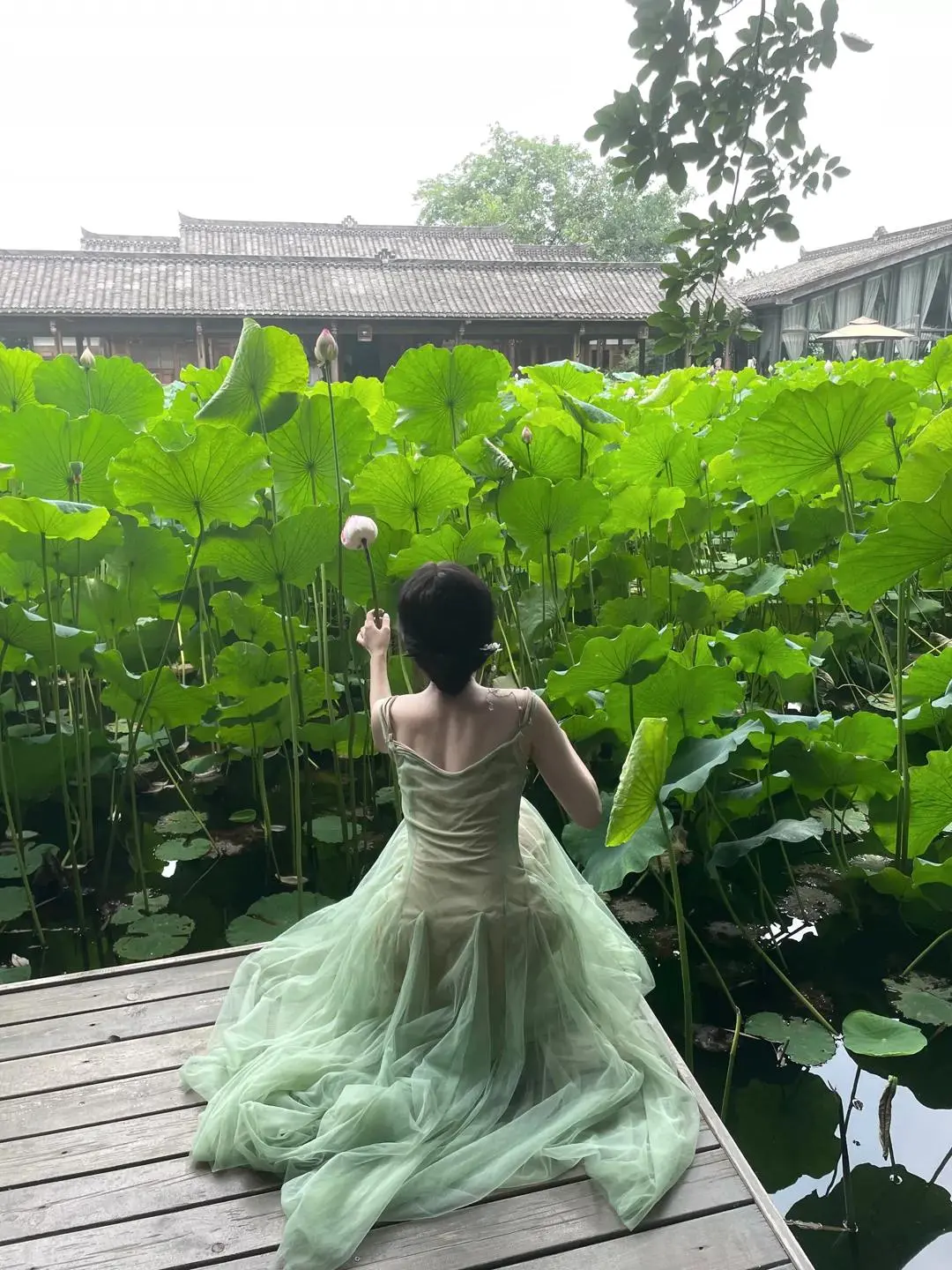 兴尽晚回舟，误入藕花深处