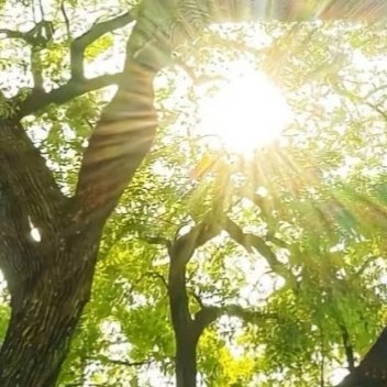 000000经历过风雨，心会变得更坚韧，擦肩而过的人，挥一挥手说声，再见。相信，