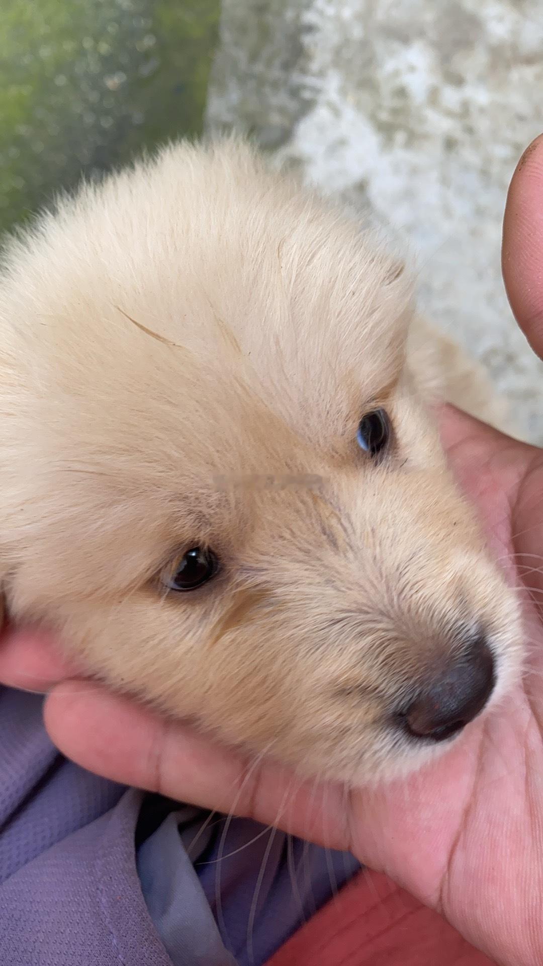 今天符合财哥的预判，我们先不动，继续等风来……不要急，今日看盘财经﻿a股