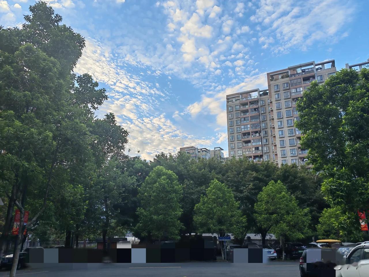 以前从没有在这个季节探望过孩子，前晚一到孩子打工单位的大门外，就闻到了黄桷兰那清