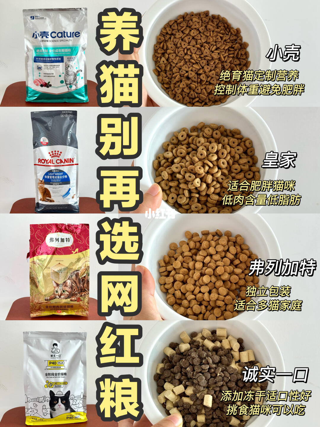 远离❌网红猫粮！猫粮适合才是关键