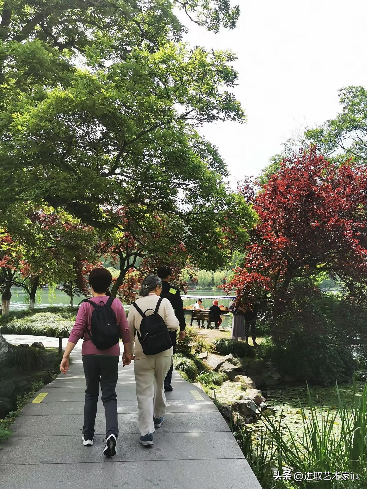 发一张西湖边的美照边走边拍杭州西湖十景之一“花港观鱼〞景区，游客朋友在公园内、西