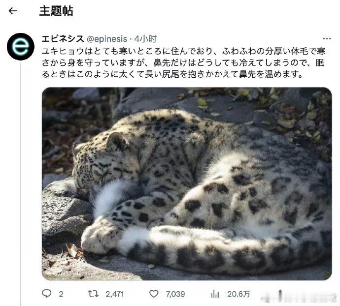 #年轻人开始主动穿保暖内衣了# 看来保暖内衣真是冬天的救星啊，不仅轻便暖和还提升