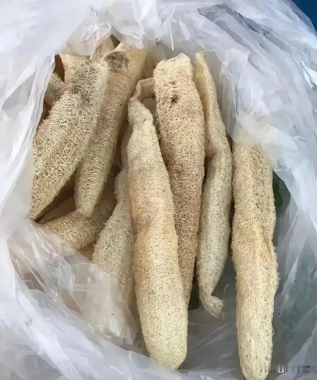 丝瓜瓤真是秒杀一切清洁产品，之前家里有几个蔬菜大棚，棚旁边都会种丝瓜，
等到丰收
