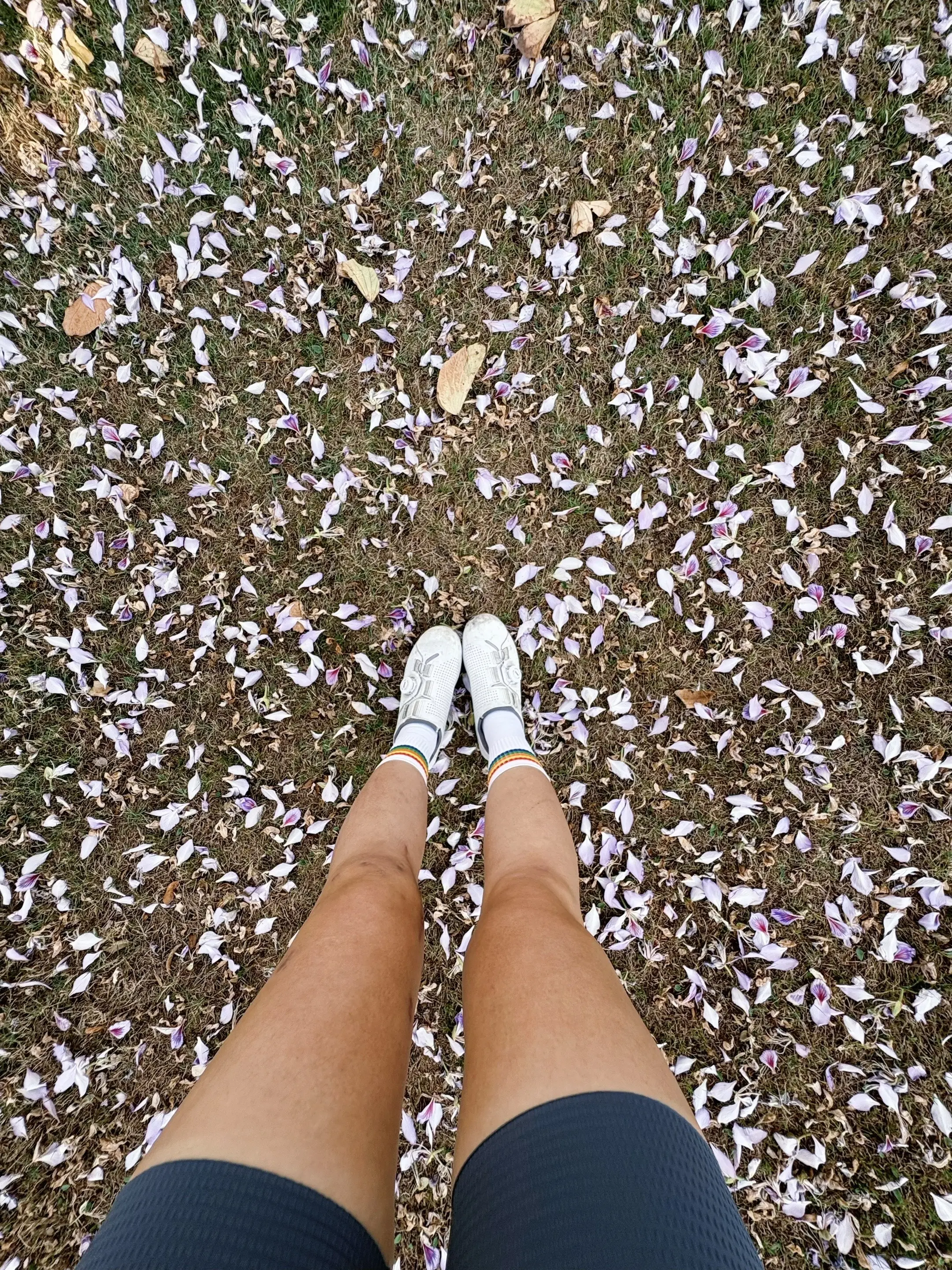 平凡普通的日子也值得被记录 上班 骑车 健身…这就是我的生活！你的呢？